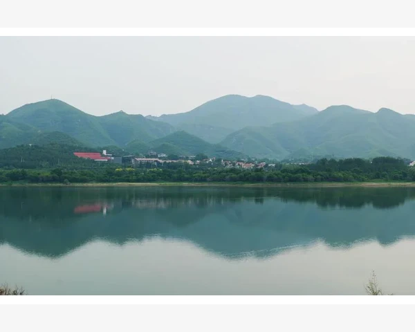 拔罐疗法：解析中医之智慧，拯救脾胃之困扰
