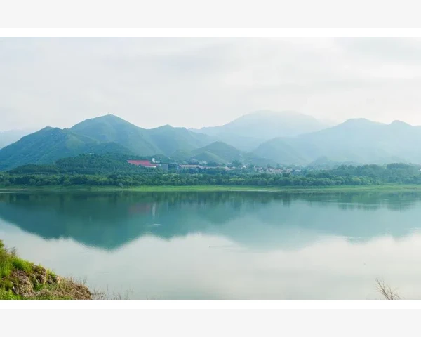 拔罐的奥秘：掌握使用技巧，轻松享受健康生活