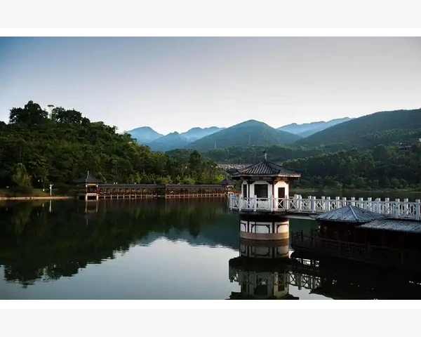 治疗胃疼吃什么食物好
